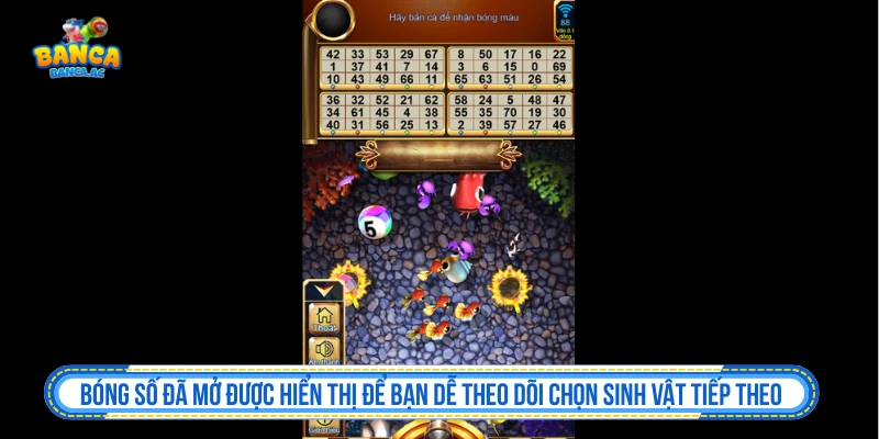 Bắn Cá Bingo - Bảng Số, Vòng Quay Và Cách Giữ Vốn Bảng số đã mở trong Bắn Cá Bingo