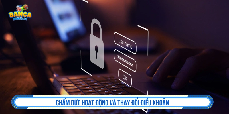 Điều Khoản Dịch Vụ - Quy Định Sử Dụng Thay đổi và chấm dứt quyền sử dụng tại Banca.ac